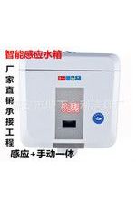 蹲便專(zhuān)用感應(yīng)水箱沖水器、節(jié)水掛墻公共廁所家庭感應(yīng)水箱沖水