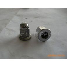 非標(biāo)蓋型螺母，蓋型螺母，螺母