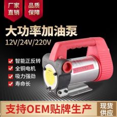 電動抽油泵12V吸油機(jī)24V微型柴油直流加油器家用計(jì)量 抽水泵220V